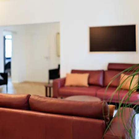 Appartement 5 Sterne Schlossplatz - Sachsen Vogtland Erzgebirge 6 Personen 3 Sz Sauna Kamin *