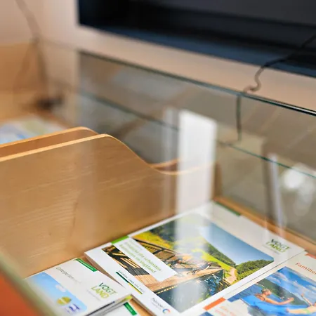 5 Sterne Schlossplatz - Sachsen Vogtland Erzgebirge 6 Personen 3 Sz Sauna Kamin