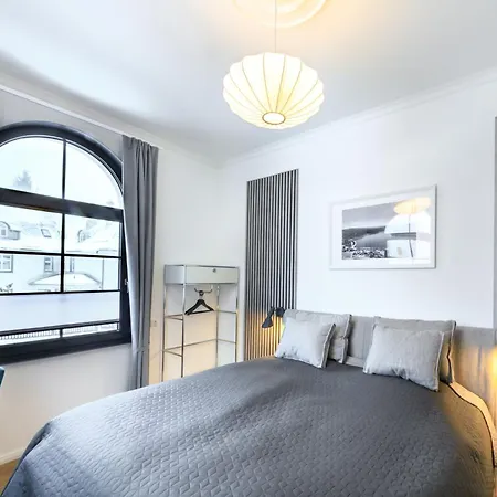 5 Sterne Schlossplatz - Sachsen Vogtland Erzgebirge 6 Personen 3 Sz Sauna Kamin * Auerbach (Vogtland)