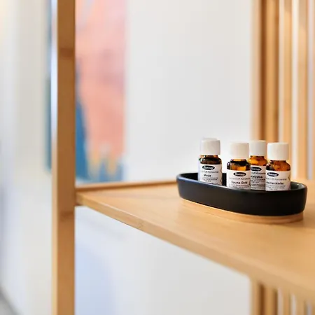 5 Sterne Schlossplatz - Sachsen Vogtland Erzgebirge 6 Personen 3 Sz Sauna Kamin