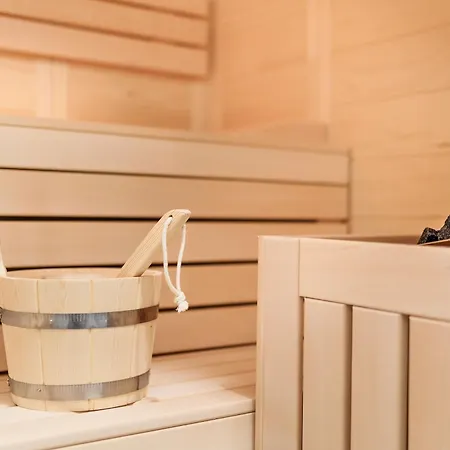 公寓 5 Sterne Schlossplatz - Sachsen Vogtland Erzgebirge 6 Personen 3 Sz Sauna Kamin 奥尔巴赫