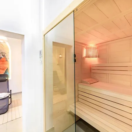 5 Sterne Schlossplatz - Sachsen Vogtland Erzgebirge 6 Personen 3 Sz Sauna Kamin Appartement