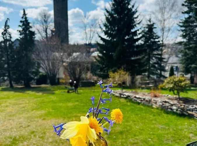 5 Sterne Schlossplatz - Sachsen Vogtland Erzgebirge 6 Personen 3 Sz Sauna Kamin *