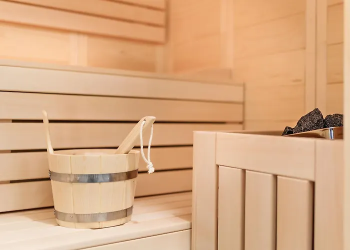 Apartment 5 Sterne Schlossplatz - Sachsen Vogtland Erzgebirge 6 Personen 3 Sz Sauna Kamin Auerbach (Vogtland)